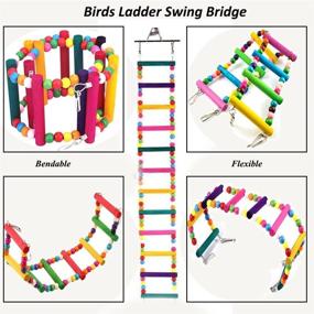 img 2 attached to 🐦 Enhance Pet Training & Playtime with Bonaweite Bird Parrot Toys: Colorful Rope Step Ladder Swing Bridge for Cockatiel Conure Parakeet – Cage Accessories and Decoration