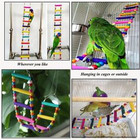 img 1 attached to 🐦 Enhance Pet Training & Playtime with Bonaweite Bird Parrot Toys: Colorful Rope Step Ladder Swing Bridge for Cockatiel Conure Parakeet – Cage Accessories and Decoration