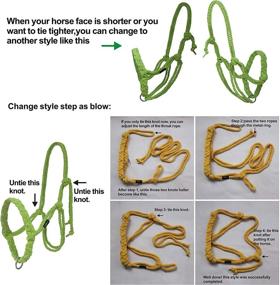 img 1 attached to 🐴 YBPETA Soft Horse Rope Halter - Handcrafted Training Halter for Cattle