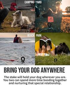 img 1 attached to 🐶 Heavy Duty Premium Dog Stake – Lifetime Replacement – Strongest Dog Anchor for 2 Large Dogs – Peace of Mind in Yard, Camping or Beach
