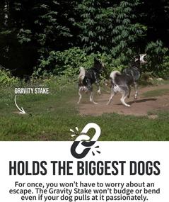 img 3 attached to 🐶 Heavy Duty Premium Dog Stake – Lifetime Replacement – Strongest Dog Anchor for 2 Large Dogs – Peace of Mind in Yard, Camping or Beach