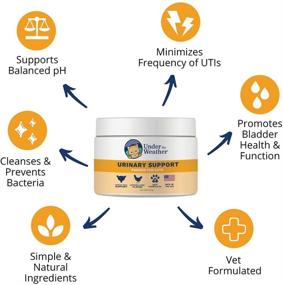 img 3 attached to ❤️ Under The Weather Urinary Support Powder for Cats: Promote Optimal Urinary Tract Health with this Effective Supplement