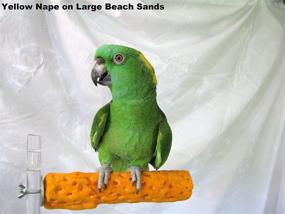 img 3 attached to 🏖️ Polly's Small Perch on Beach Sands for Birds