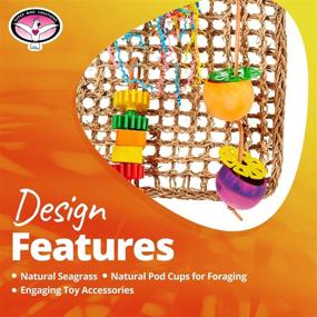 img 1 attached to SUPER BIRD CREATIONS SB746 Seagrass Foraging Wall Bird Toy - Large Size- Fun Gears - Multicolor - Medium Bird Toy