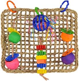 img 4 attached to SUPER BIRD CREATIONS SB746 Seagrass Foraging Wall Bird Toy - Large Size- Fun Gears - Multicolor - Medium Bird Toy