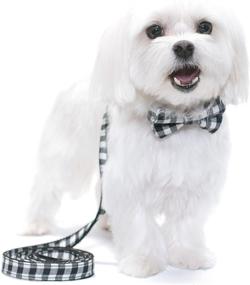 img 1 attached to 🐾 United Pups Black Gingham Plaid Collar with Bow Tie and Leash – a Contemporary Take on Modern Pups