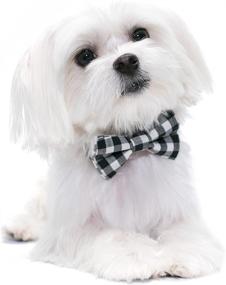 img 3 attached to 🐾 United Pups Black Gingham Plaid Collar with Bow Tie and Leash – a Contemporary Take on Modern Pups