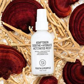 img 1 attached to 🌿 Youth To The People Adaptogen Soothe + Hydrate Activated Mist - Clean Beauty Facial Spray (4oz)