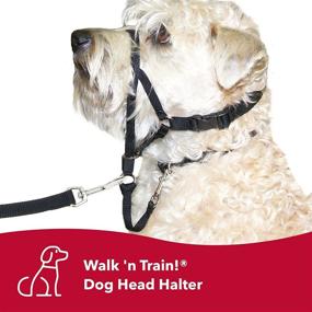 img 1 attached to Coastal Pet - Walk 'n Train - Dog Head Halter - Black - Small - Size 1: Optimal Training Tool for Dogs