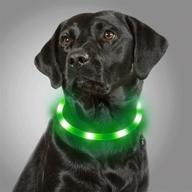 🐾 stay safe at night with joytale led dog collar: usb rechargeable light up collars for dogs, glowing in the dark, ideal for small medium large dogs, green logo