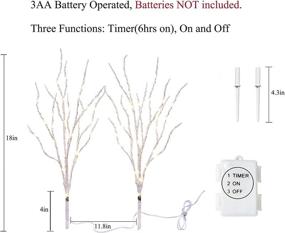 img 1 attached to 🌟 Birchlitland LED Fairy Lights - Battery Operated 18IN 70L Warm White Artificial Birch Branch Lights with Timer, Perfect for Indoor/Outdoor Home and Holiday Decoration