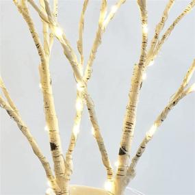 img 2 attached to 🌟 Birchlitland LED Fairy Lights - Battery Operated 18IN 70L Warm White Artificial Birch Branch Lights with Timer, Perfect for Indoor/Outdoor Home and Holiday Decoration
