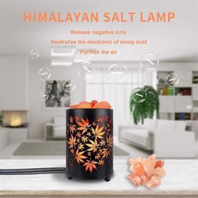 img 2 attached to 🔮 Himalayan Salt Lamp with Metal Basket & Dimmer Cord, Leaf Pattern - Shineled Natural Crystal Pink Salt Night Light for Bedrooms, Office, Home Decor (Includes 2 Spare 15w Bulbs T20)