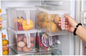 img 1 attached to 🍅 Stackable Refrigerator Organizer Containers with Lids - MineDecor Plastic Square Food Storage, Ideal for Fruits, Vegetables, Meat, Eggs (Set of 4)