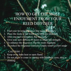 img 1 attached to 🎄 Delightful Fraser Fir Christmas Tree Scented Reed Diffuser Set: Home Fragrance with Reed Diffuser Sticks and 4 oz Bottle, Handcrafted in the USA