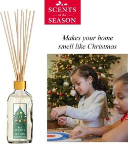 img 3 attached to 🎄 Delightful Fraser Fir Christmas Tree Scented Reed Diffuser Set: Home Fragrance with Reed Diffuser Sticks and 4 oz Bottle, Handcrafted in the USA