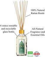 🎄 delightful fraser fir christmas tree scented reed diffuser set: home fragrance with reed diffuser sticks and 4 oz bottle, handcrafted in the usa логотип