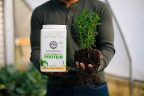 img 1 attached to 🌱 Sunwarrior Clean Greens & Protein Powder - Vegan Superfood with No Added Sugar, Non-GMO, Soy Free, Gluten Free, Dairy Free - Keto Friendly, Athletic Greens - Plant Based Protein Powder