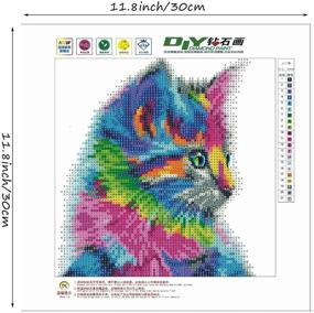 img 1 attached to 🎨 Набор для рисования бриллиантов "Diamond Art": DIY 5D круглая выкладка бриллиантовой живописи для взрослых и детей - Кот 12x12 дюймов