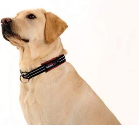 img 1 attached to 🦮 Reflective Adjustable Martingale Limited Slip Collar - ComfortFlex American Made Flat Nylon