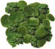 🌿 chuangdi artificial moss rocks: 20 assorted sized faux green stones & moss balls with 20g preserved green moss - ideal for floral arrangements, crafting fairy gardens, and decor logo