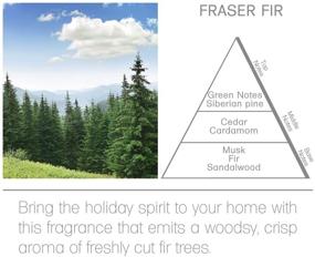 img 1 attached to 🌲 Premium Acqua Aroma Fraser Fir Reed Diffuser Oil Refill - 6.8 FL OZ (200ml) with Essential Oils - Invigorating Frasier Fir Christmas Scent