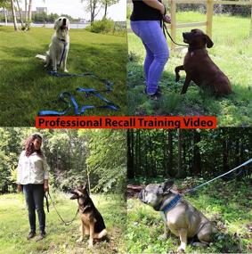 img 2 attached to 🐾 Оливковый поводок для собак Olive Paws - Система дрессировки с отражающей поверхностью, двойными мягкими ручками и поводком длиной 6 футов - Бонусные удлинители на 15 и 30 футов для тренировки команды "Ко мне" - Идеально подходит для занятий агилити на открытом воздухе. Посмотрите видео от профессионального тренера.