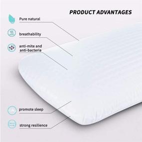 img 1 attached to Talalay Natural Latex Pillow (100% Organic) with Machine Washable Cotton Pillow Covers - Hypoallergenic Latex Foam Bed Pillows for Back, Side, and Stomach Sleepers, Relieves Neck Discomfort