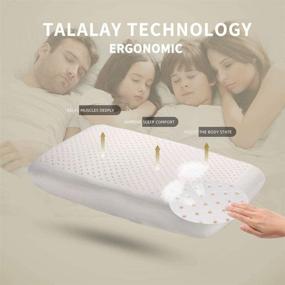 img 3 attached to Talalay Natural Latex Pillow (100% Organic) with Machine Washable Cotton Pillow Covers - Hypoallergenic Latex Foam Bed Pillows for Back, Side, and Stomach Sleepers, Relieves Neck Discomfort