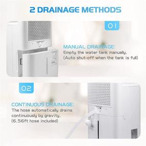 img 2 attached to 🌧️ HEVILLO 40 Pint Dehumidifier for 2000 Sq. Ft Home Basements - Intelligent Humidity Control, Continuous Drain Hose, Large Room Capacity