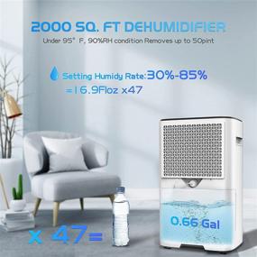 img 1 attached to 🌧️ HEVILLO 40 Pint Dehumidifier for 2000 Sq. Ft Home Basements - Intelligent Humidity Control, Continuous Drain Hose, Large Room Capacity