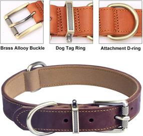 img 2 attached to Jatinoo Classic Genuine Leather Martingale