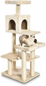 img 1 attached to 🐱 Enhance Cat's Playtime with Amazon Basics Multi-Level Cat Tree with Scratching Posts