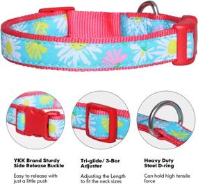 img 1 attached to 🐾 Pet Rejoir Dog Collar - Paisley Daisy Flamingo Patterns Christmas and Solid Dog Collar with Removable Bowtie - Adjustable Pet Collar for Small Medium and Large Dogs - Neck Sizes: 11-15", 15-19" and 19-25