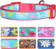 🐾 pet rejoir dog collar - paisley daisy flamingo patterns christmas and solid dog collar with removable bowtie - adjustable pet collar for small medium and large dogs - neck sizes: 11-15", 15-19" and 19-25 logo