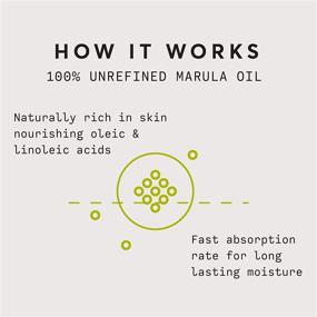 img 2 attached to Naturium 100% Virgin Marula Face Oil - 1oz | Unrefined Organic Marula Oil