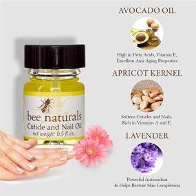 img 2 attached to Масло для кутикулы Bee Naturals - обогащенное витамином Е средство для лечения трещин на ногтях и сухой кутикулы - повышает влажность, мягкость и здоровье - с добавлением эфирного масла чайного дерева.