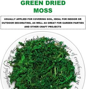 img 1 attached to 🌿 Enhance Your Garden, Crafts, and Wedding Decor with WILLBOND's Delightful Artificial Moss Green Dried Moss