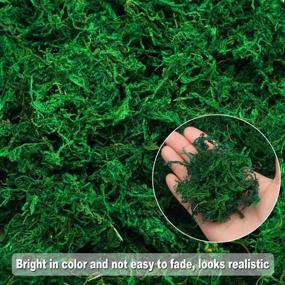 img 3 attached to 🌿 Enhance Your Garden, Crafts, and Wedding Decor with WILLBOND's Delightful Artificial Moss Green Dried Moss