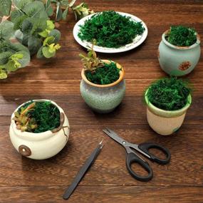 img 2 attached to 🌿 Enhance Your Garden, Crafts, and Wedding Decor with WILLBOND's Delightful Artificial Moss Green Dried Moss