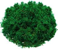 🌿 enhance your garden, crafts, and wedding decor with willbond's delightful artificial moss green dried moss logo