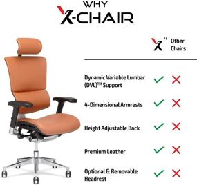 img 1 attached to X-Chair X4 High End Executive Chair, Brown Brisa - Ultimate Ergonomic Office Seat with Unmatched Lower Back Support, Floating Recline, and Stunning Aesthetic - Adjustable and Perfect for Office or Boardroom