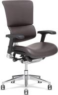 x-chair x4 high end executive chair, brown brisa - ultimate ergonomic office seat with unmatched lower back support, floating recline, and stunning aesthetic - adjustable and perfect for office or boardroom логотип