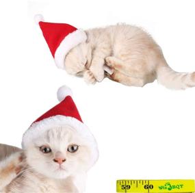img 1 attached to 🏻 Wiz BBQT Christmas Pet Accessories: Adorable Cat Dog Santa Hat & Bow Tie Collar, Perfect for Cats, Kittens, Puppies & Small Pets - Red and White