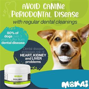 img 1 attached to 🐾 MOKAI Dental Wipes for Dogs and Cats - Effective Dog and Cat Teeth Cleaning with Chlorhexidine: Prevent Plaque, Tartar, Bad Breath, Tooth Decay, and Gingivitis