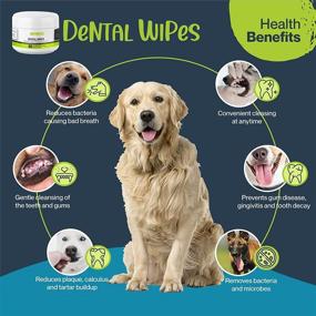 img 3 attached to 🐾 MOKAI Dental Wipes for Dogs and Cats - Effective Dog and Cat Teeth Cleaning with Chlorhexidine: Prevent Plaque, Tartar, Bad Breath, Tooth Decay, and Gingivitis