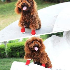 img 1 attached to URBEST Detachable Closure Puppy Booties Dogs for Apparel & Accessories