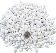 versatile medium white pebbles - perfect for plants, fish tanks, vases, sidewalks, aquariums, terrariums, and more! logo