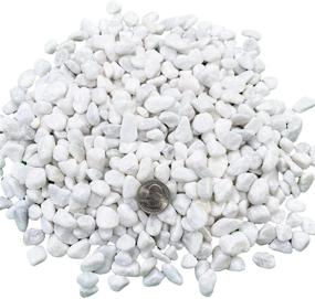 img 4 attached to Versatile Medium White Pebbles - Perfect for Plants, Fish Tanks, Vases, Sidewalks, Aquariums, Terrariums, and More!
