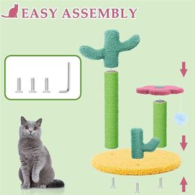 img 1 attached to 🐱 TNELTUEB Small Cat Scratching Post, Sisal Cat Scratcher with Adjustable Height Poles and Hanging Ball Toy for Indoor Climbing, Playing, and Interactive Fun – Perfect Gift for Kittens